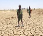 Alerta de la FAO: 10 millones de personas al borde de la hambruna en Sahel